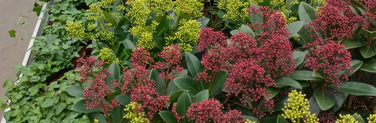 Welkom bij Sampermans