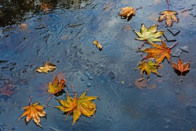 TEST - Zomeronderhoud
