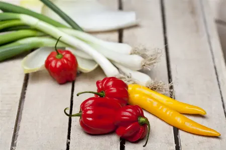 allium fistulosum - afbeelding 1