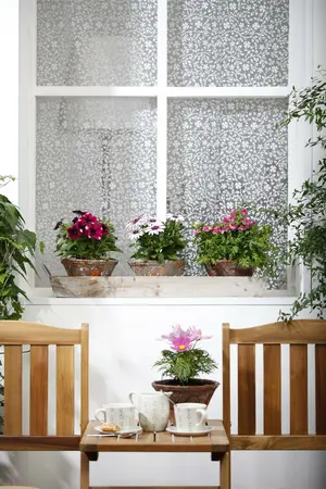 cosmos - afbeelding 1