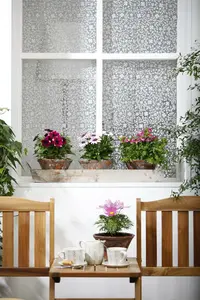 cosmos - afbeelding 1