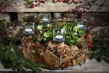 groot - afbeelding 3