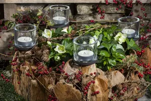 groot - afbeelding 4