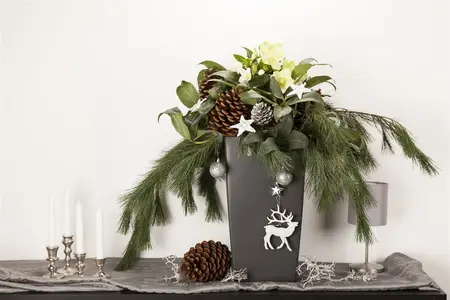 groot - afbeelding 1