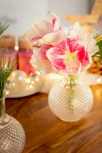 hybr 2 - afbeelding 4