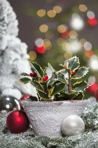 kluit-60/80 - afbeelding 4