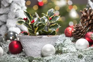 kluit-60/80 - afbeelding 5