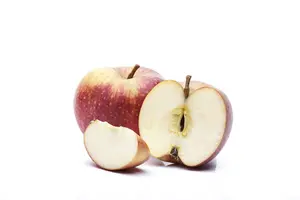 malus d.  rode boskoop 