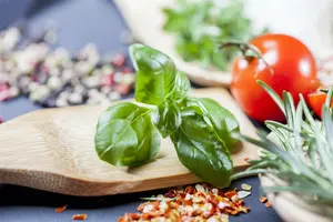 ocimum basilicum - afbeelding 4