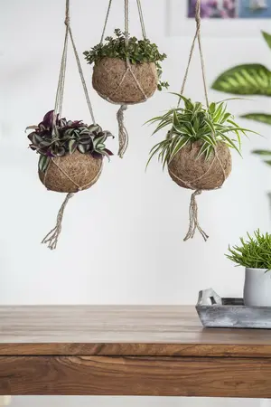 grote - afbeelding 4