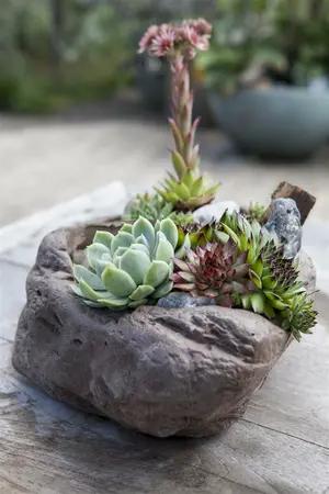 mix 8.5 - afbeelding 4