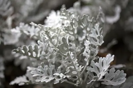 p 10,5 - afbeelding 4