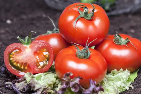 tomaat geel - afbeelding 5