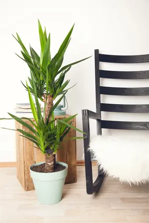 3tak2 - afbeelding 2